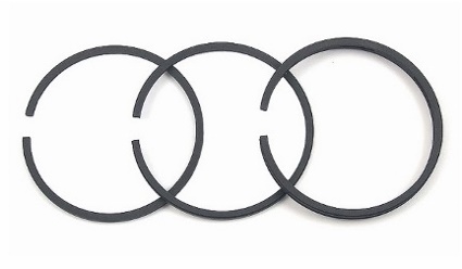 prstenovi-karike-briggs-stratton